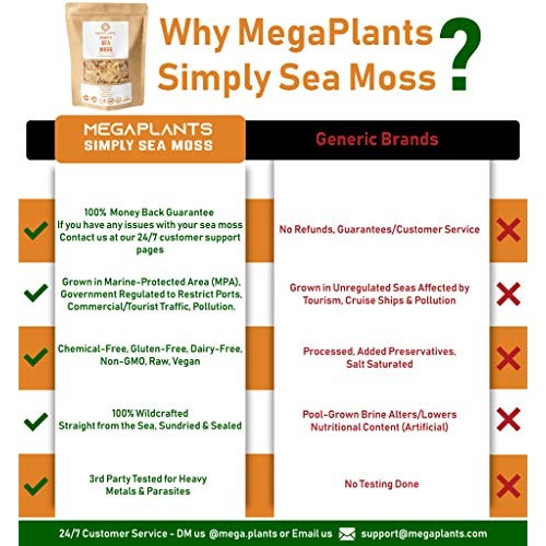 Megaplants Simply Sea Moss | Makes 150 Ounces Of Sea Moss Gel |