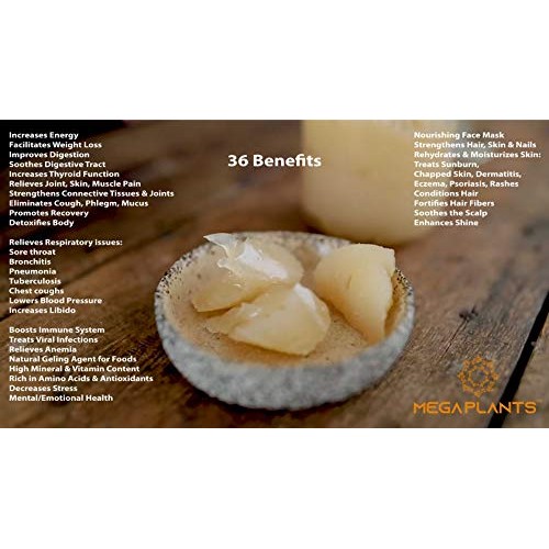 Megaplants Simply Sea Moss | Makes 150 Ounces Of Sea Moss Gel |