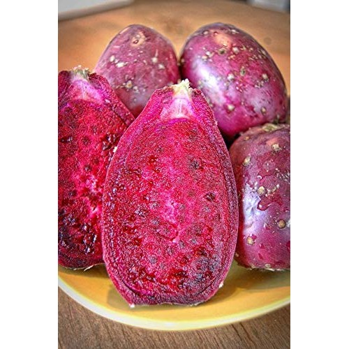 Melissas Fresh Cactus Pears, Set Of 10