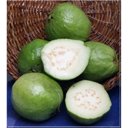 Melissas Fresh Guavas 3 Lbs.