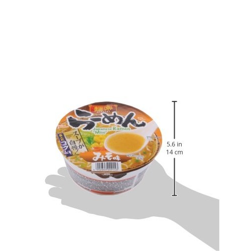 Menraku Miso Ramen, 3.2-Ounce Pack Of 12