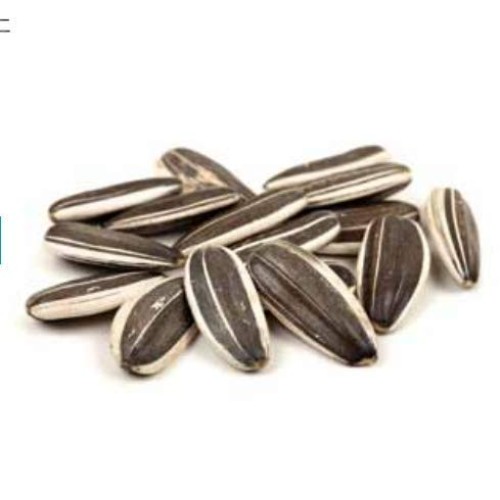 Meray Roasted Unsalted Sunflower Seeds 300Gr