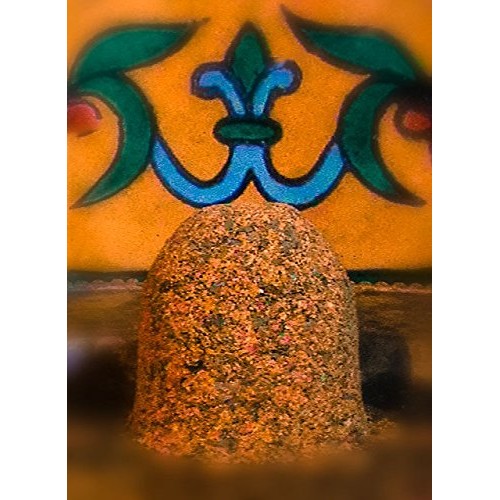 Peruvian Seasoning From The Blends Of The Americas Collection By