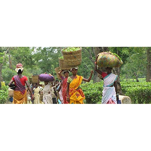 Metropolitan Tea M21 Luxury Functional Relax Tea 24 Pyramid Bags