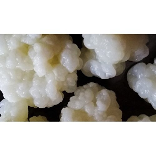 Kefir Grains Organic 30 G