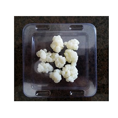 Kefir Grains Organic 30 G