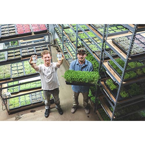 Microtea Focus - Natural Jasmine Green Focus Loose Leaf Tea + An