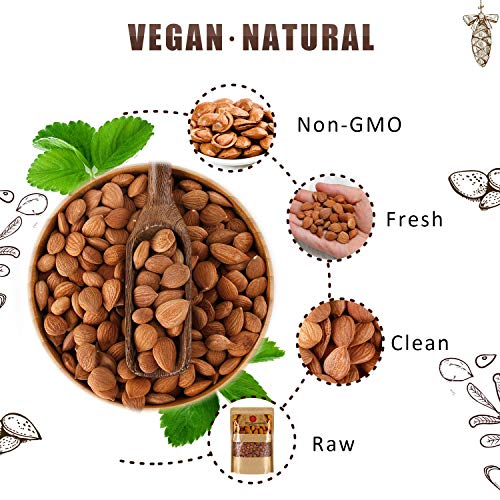 Mighty Apricot Organic Bitter Apricot Kernels1Lb 16Oz, Natural