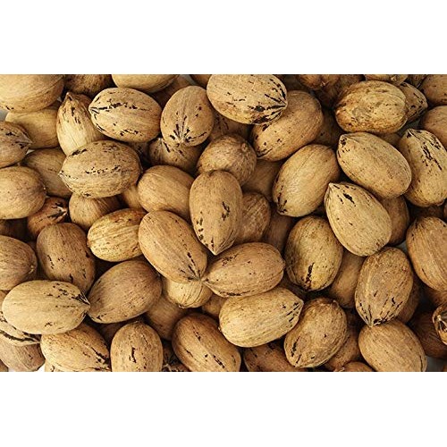 Fresh Texas Pecans In Shell, 3 Pound Bag | Millican Pecan Since