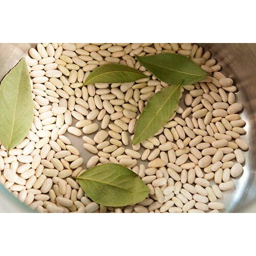 Hot!! -30 Cannellini Bean Seeds White Italian Kidney Phaseolus V