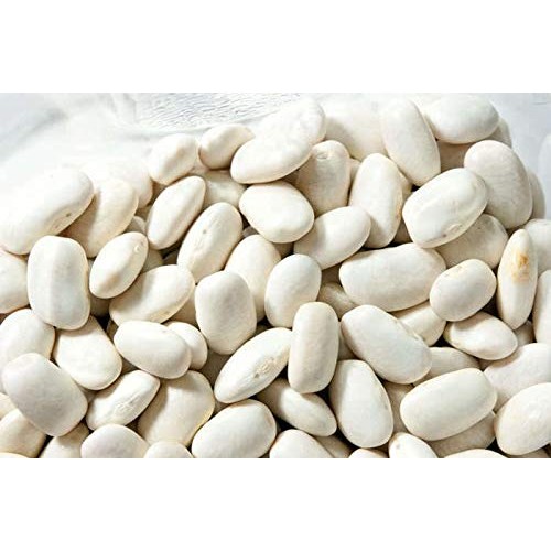Hot!! -30 Cannellini Bean Seeds White Italian Kidney Phaseolus V