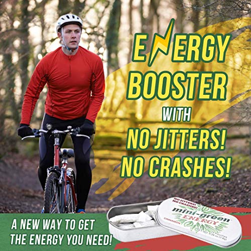 Mini-Green Energy Natural, Organic Energy Boost Pouches, Cinnamo