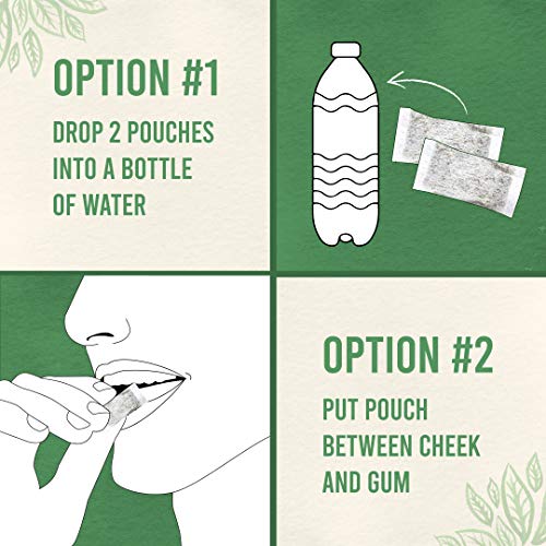 Mini-Green Energy Natural, Organic Energy Boost Pouches, Cinnamo