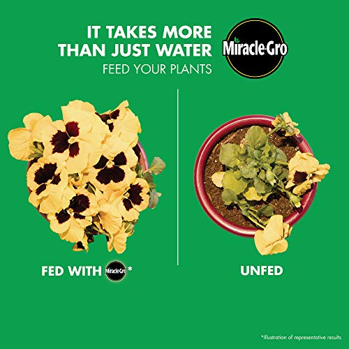 Miracle-Gro Water Soluble All Purpose Plant Food, 10 Lb