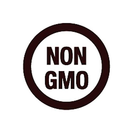 Miracle Noodle Ready To Eat Japanese Curry Noodles Meal, Shirata