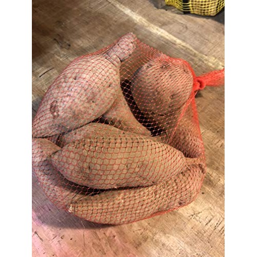 Louisiana Sweet Potatoes 8