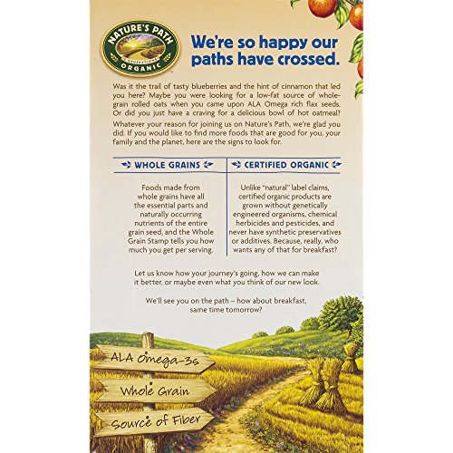 Nature’S Path Hot Oatmeal, Optimum Power Blueberry Cinnamon Flax