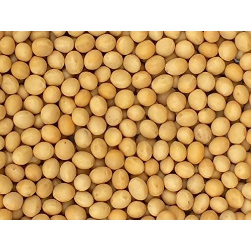 Premium Grade Non-Gmo Soybeans Bulk Great Price 5 Pounds