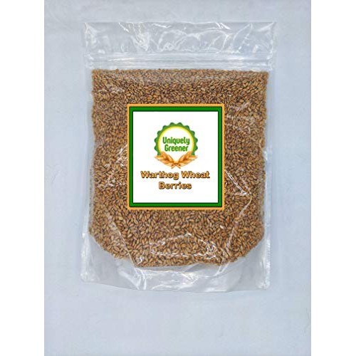 Warthog Wheat Berries, 10 Ounces