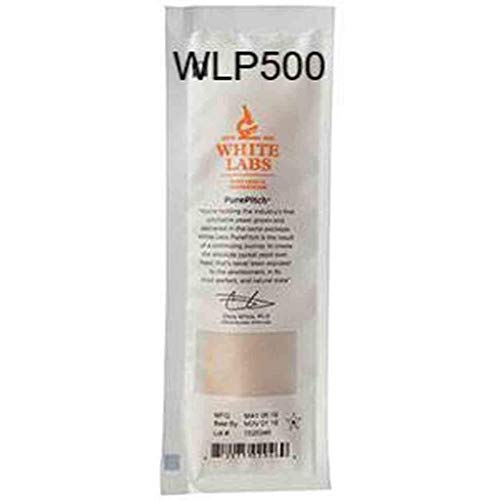 Wlp500 White Labs Monastery Ale Liquid Yeast