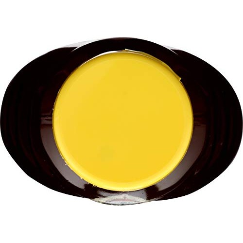 Mississippi Bees Honey Squeeze Bottle, 1 Ea