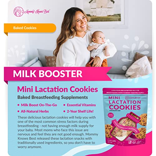 Lactation Cookies Breastfeeding Supplement - Chocolate Chip - Su...