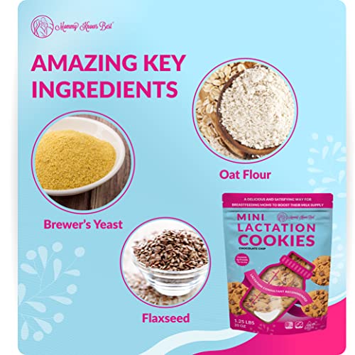 Lactation Cookies Breastfeeding Supplement - Chocolate Chip - Su...