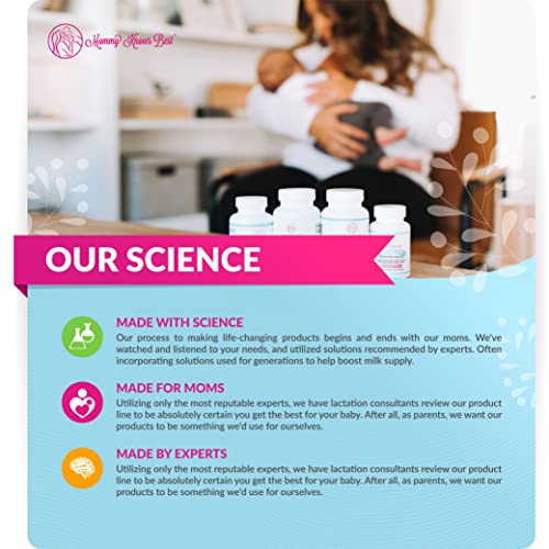 Lactation Cookies Breastfeeding Supplement - Chocolate Chip - Su...