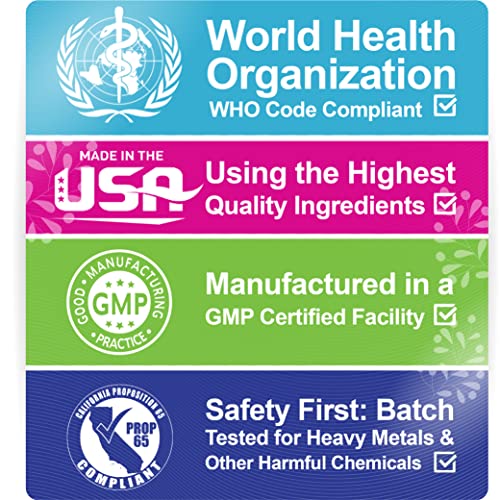 Lactation Cookies Breastfeeding Supplement - Chocolate Chip - Su...