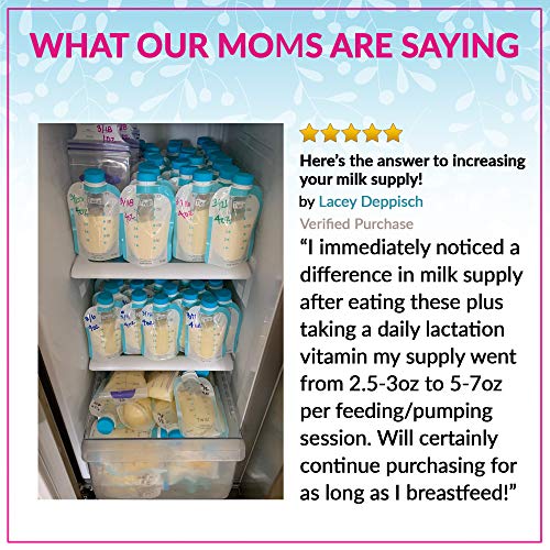 Lactation Cookies Mix Breastfeeding Supplement Oatmeal Cinnamon