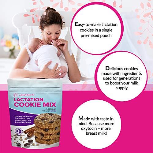 Lactation Cookies Mix Breastfeeding Supplement Oatmeal Cinnamon
