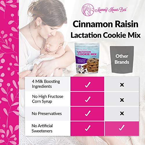 Lactation Cookies Mix Breastfeeding Supplement Oatmeal Cinnamon
