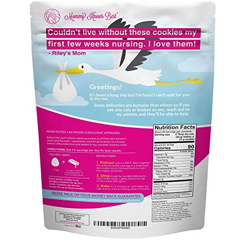 Lactation Cookies Mix - Oatmeal Chocolate Chip Breastfeeding Coo