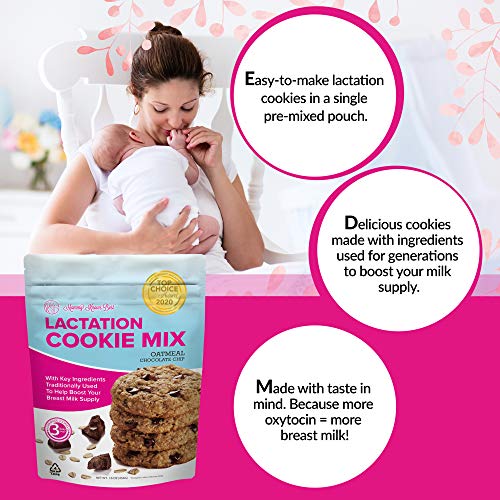 Lactation Cookies Mix - Oatmeal Chocolate Chip Breastfeeding Coo