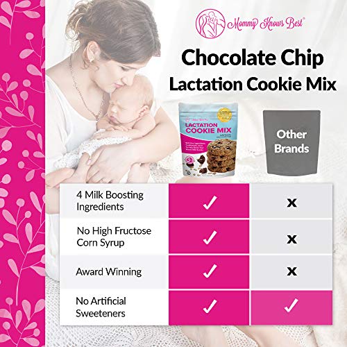 Lactation Cookies Mix - Oatmeal Chocolate Chip Breastfeeding Coo