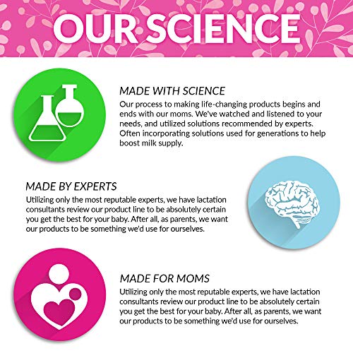 Lactation Cookies Mix - Oatmeal Chocolate Chip Breastfeeding Coo