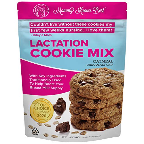 Lactation Cookies Mix - Oatmeal Chocolate Chip Breastfeeding Coo