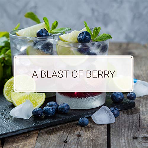 Monin - Blueberry Syrup, Mildly Sweet &Amp; Tart Blueberry Flavor, G