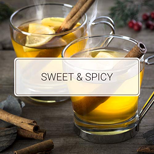 Monin - Cinnamon Syrup, Sweet And Spicy Taste Of Cinnamon, Versa