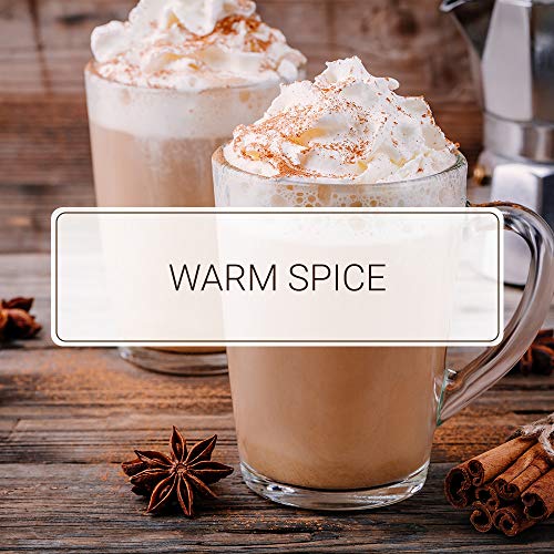 Monin - Maple Spice Syrup, Hints Of Gingerbread And Cinnamon, Na