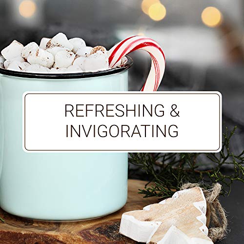 Monin - Peppermint Syrup, Cool Tingle Of Candy Cane, Natural Fla