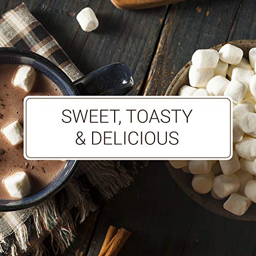 Monin - Toasted Marshmallow Syrup, Flavor Of Campfire Treats, Na