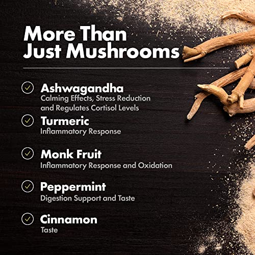 Monkey Brew - Four Mushroom Coffee Alternative Drink - Lions Ma...