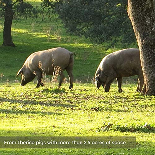 Iberico Ham Shoulder Range-Fed Natural + Ham Holder + Knife An