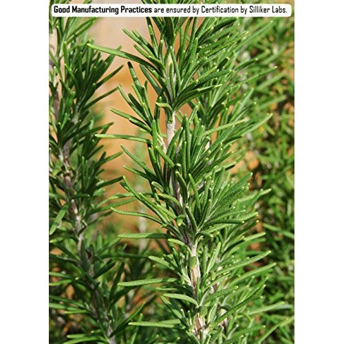 Rosemary Whole Certified Organic 1 Lb Bag – Whole Cut And Sifted