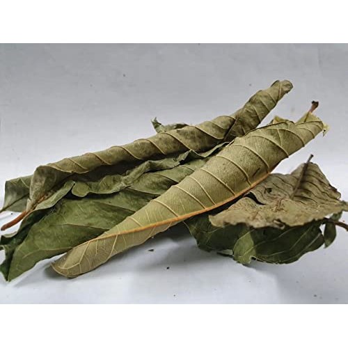 Dried Guava Leaves, Hojas de Guayaba, Loose Guava Leaf Tea 2 oz ...