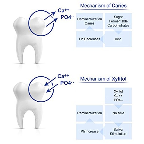 Morning Pep Pure Birch Xylitol Keto Diet Friendly Sweetener 1