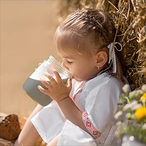 Instant Blackbean Soy Milk Drink Powder High in Protein Soymilk ...