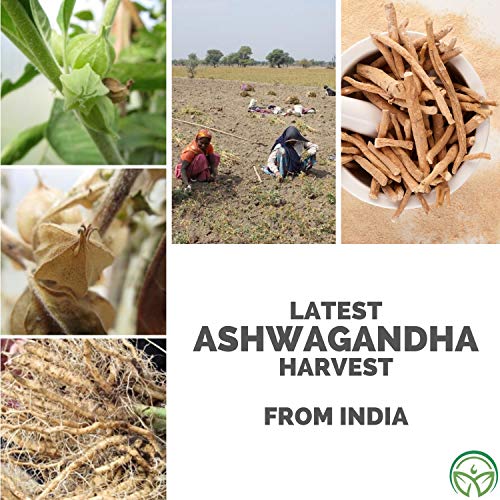 Pure Organic Ashwagandha Powder - 16 Ounce Bag - Non-Gmo - Perfe