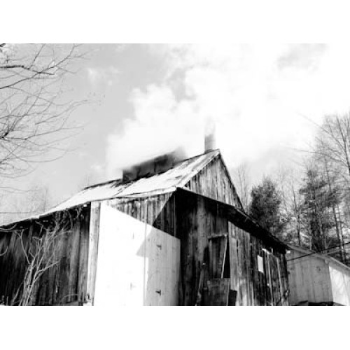 Mansfield Maple Pure Vermont Maple Syrup In Plastic Jug Dark Rob